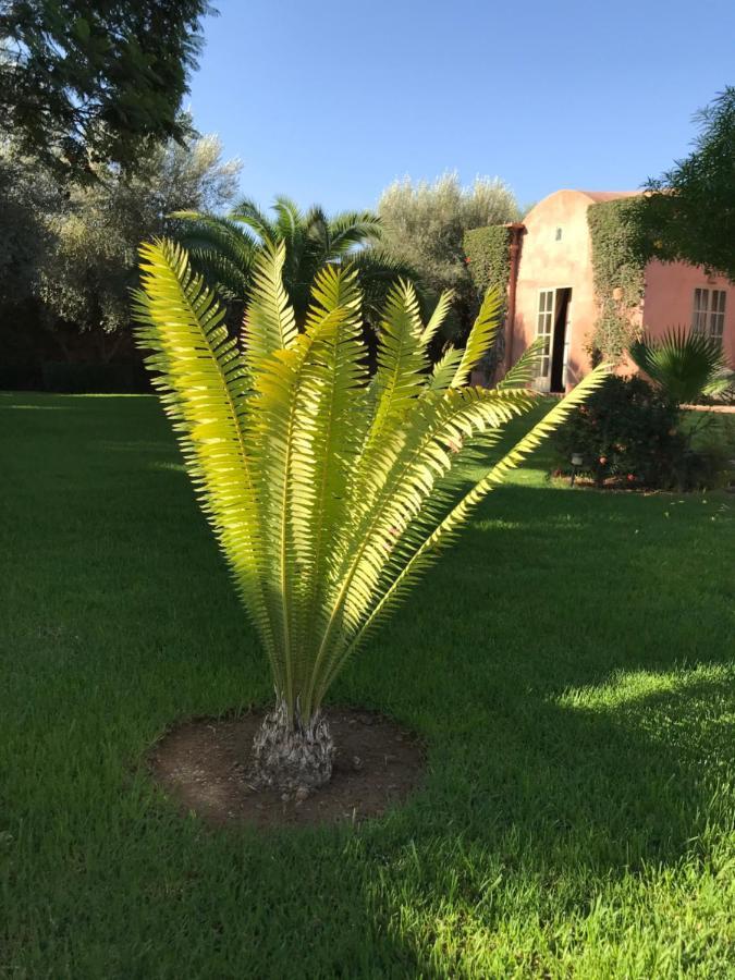 Villa #1 ‘Rosalie’ Marrakesh Esterno foto